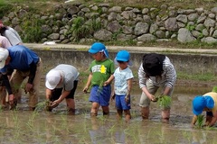 幼児の様子