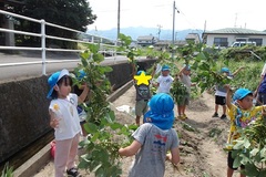 幼児の様子