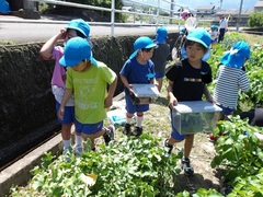 幼児の様子