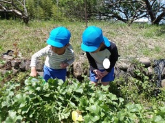 幼児の様子