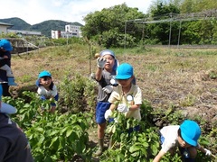 幼児の様子