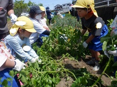 幼児の様子