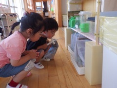 幼児の様子