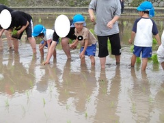 幼児の様子
