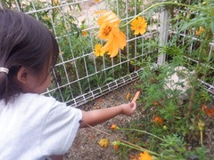 幼児の様子