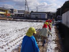 雪の上を歩いている写真