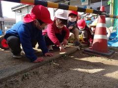 園庭で遊んでいる写真