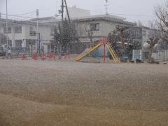 雪が降っている写真