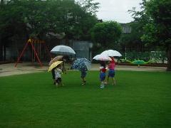 雨の園庭を散歩している様子