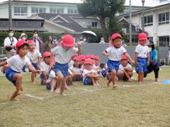 かけっこをする幼児の写真