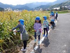 畦道で秋の自然物を見付ける幼児の写真