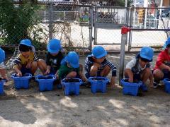 チューリップの球根植えをしている幼児の写真