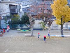 園庭のイチョウの木の写真