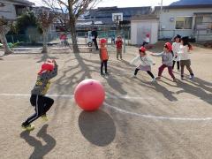 園庭で大玉を使ってドッジボールをしている幼児の写真