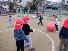 大きいボールで転がしドッジをしている幼児の写真