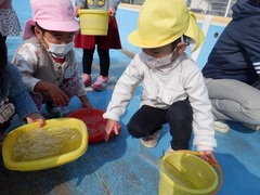 プールにできた氷を集めている幼児の写真