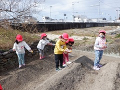 畑のじゃがいもに水やりをしている幼児の写真