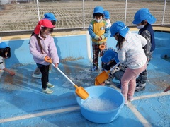 プールの氷を集めている幼児の写真