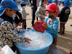 プールの氷を触って遊んでいる幼児の写真