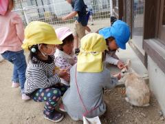 幼児が飼育小屋のうさぎににんじんをあげている写真