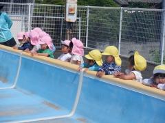 3歳児が幼稚園のプールを見ている様子