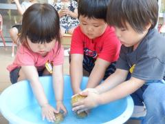 3歳児が野菜を洗っている写真