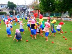 芝生で玉入れをしている幼児の写真