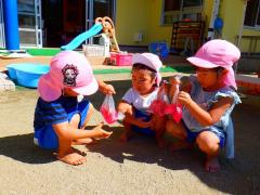 幼児がポリ袋に花びらと水を入れてピンクの色水を作っている写真