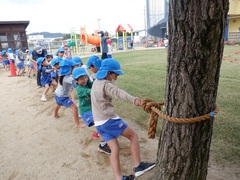 綱引きごっこをする幼児の写真