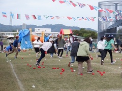 運動会の写真