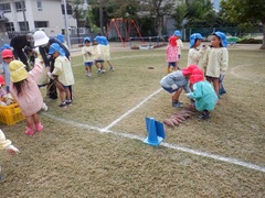 さつまいもを大きさごとに分類している幼児の写真