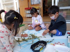 ジュズダマで遊ぶ幼児の写真