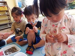 ジュズダマで遊ぶ幼児の写真