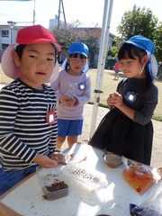 自然物コーナーで遊ぶ幼児の写真