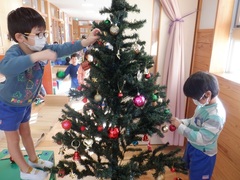 クリスマスツリーを飾る幼児の写真