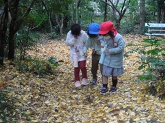 浄瑠璃寺を散策する幼児の写真