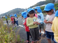 園外を歩く幼児の写真