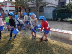 チューリップの球根植えをしている幼児の写真