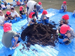 チューリップの球根植えをしている幼児の写真