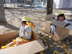 イチョウの葉で遊ぶ幼児の写真