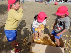 イチョウの葉で遊ぶ幼児の写真