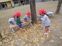 イチョウで遊んでいる写真