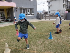 芝生で遊んでいる写真