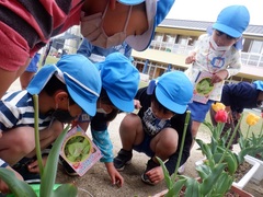 ダンゴムシ探しをする幼児の写真