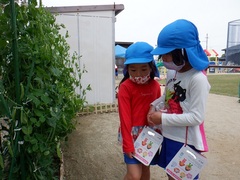 虫探しをする幼児の写真