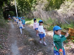 園外保育に出掛けている幼児の写真