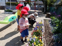 園庭で虫探しをしている幼児の写真