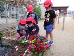 ダンゴムシの世話をしている幼児の写真