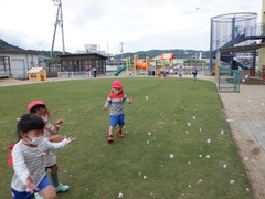 園庭で花びらを集める幼児の写真