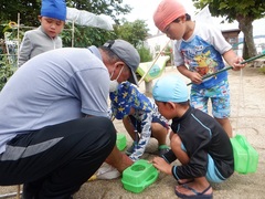 虫捕りをしている幼児の写真